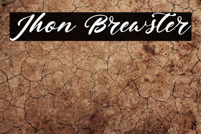 Jhon Brewster Example 2