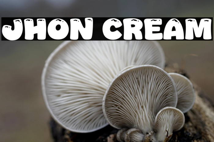 Jhon Cream Example 3