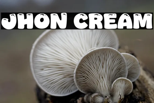 Jhon Cream Example 3