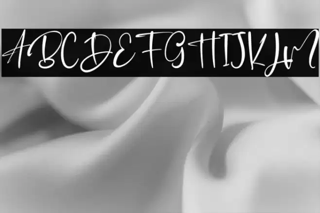 JhonAllan Font examples