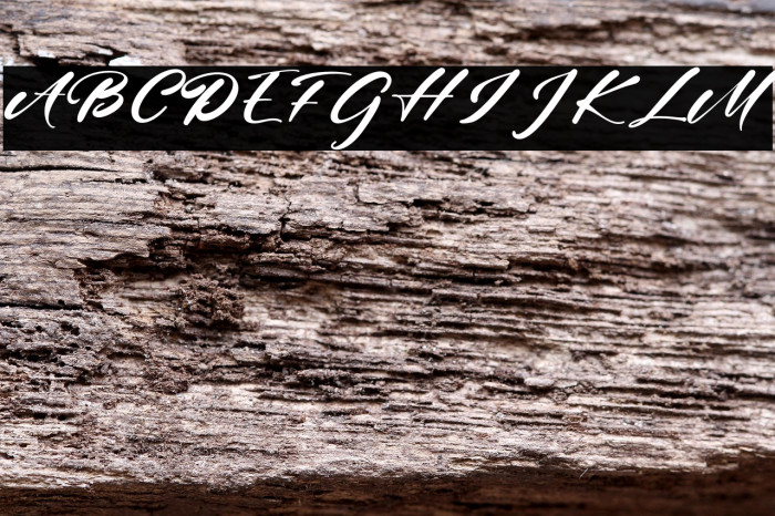 JhonBrewster Example 2