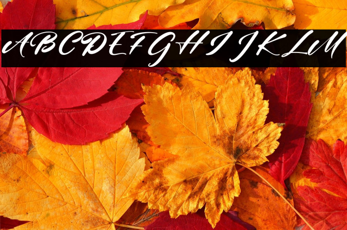 JhonBrewster Example 3