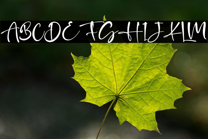 JhonHilley Example 2