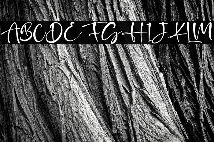 JhonHilley Example 3