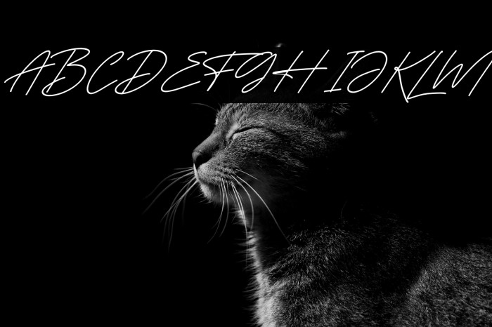 Jhonathan Hartman Italic Example 3