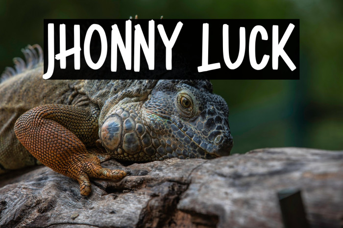 Jhonny Luck Example 1