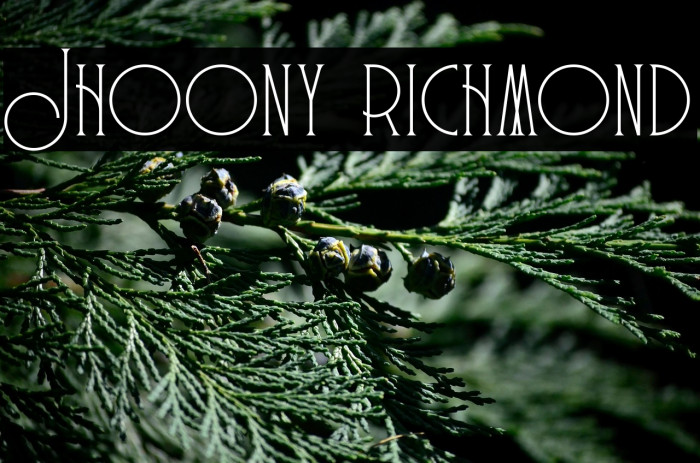 Jhoony richmond Example 1