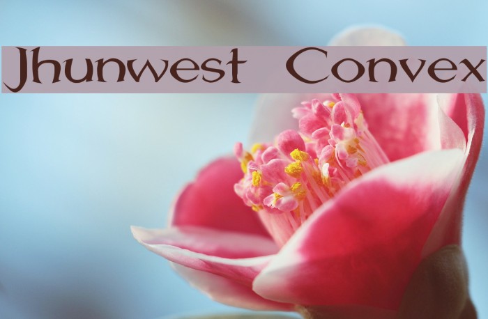 Jhunwest Convex Example 2