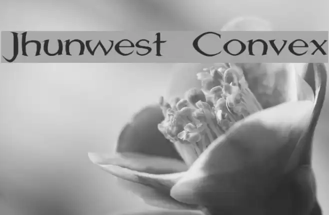 Jhunwest Convex Font examples