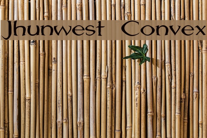 Jhunwest Convex Example 3