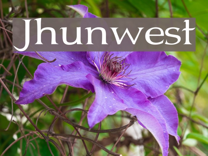 Jhunwest Font examples