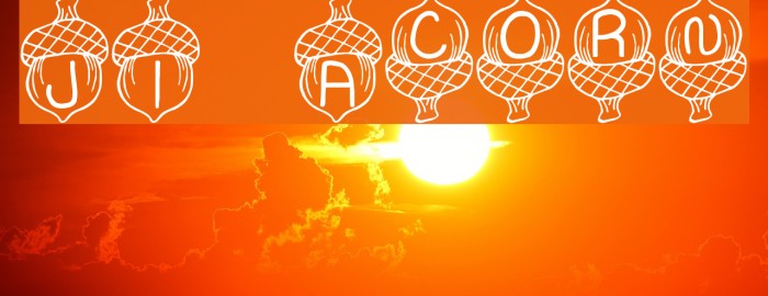 JI Acorn Font examples