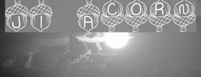 JI Acorn Font examples