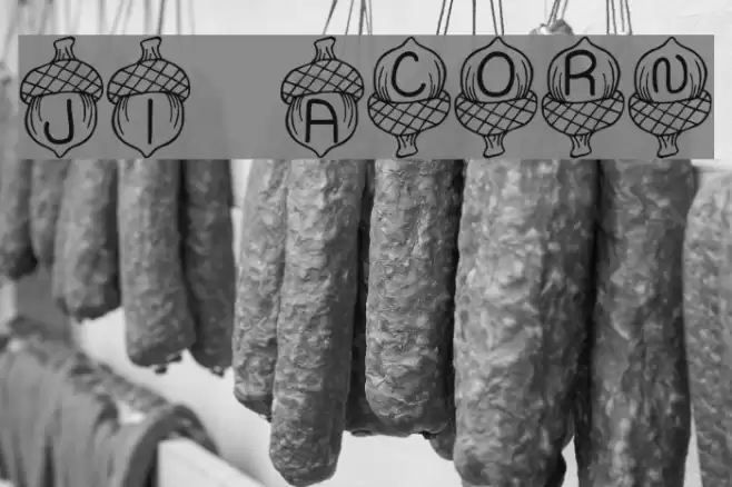 JI Acorn Font examples