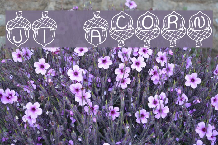 JI Acorn Font examples