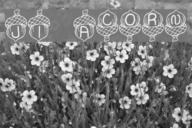 JI Acorn Font examples
