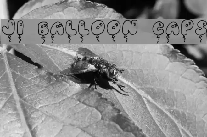 JI Balloon Caps Font examples