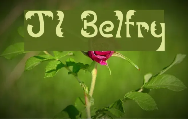 JI Belfry Example 2