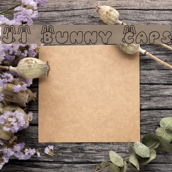 JI Bunny Caps Font examples