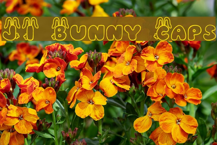 JI Bunny Caps Font examples