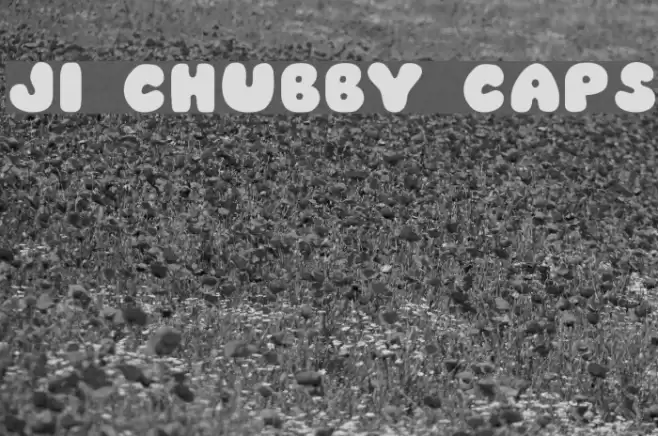 JI Chubby Caps Font examples