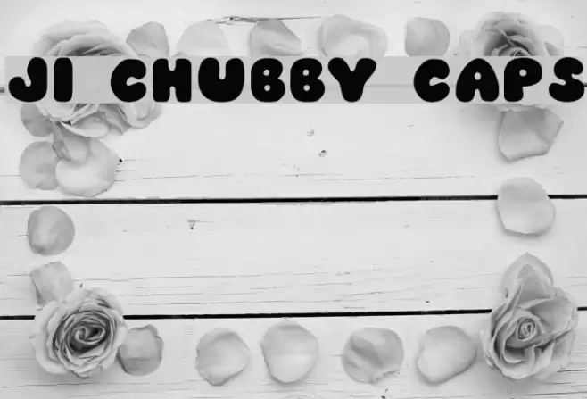 JI Chubby Caps Font examples