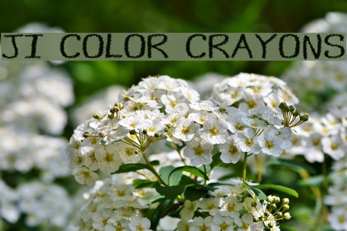 JI Color Crayons Font examples