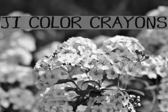 JI Color Crayons フォント examples