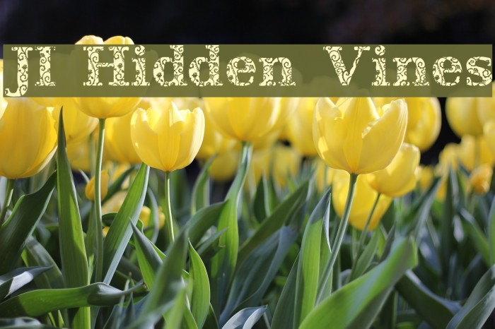 JI Hidden Vines Font examples