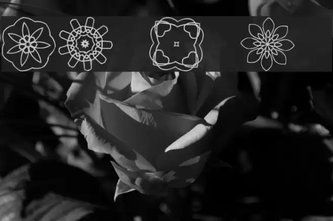JI Kaleidoscope Bats 3 Font examples