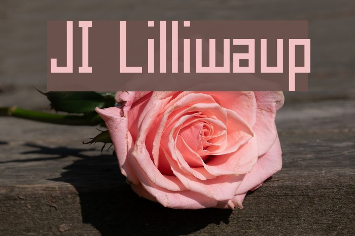 JI Lilliwaup Font examples
