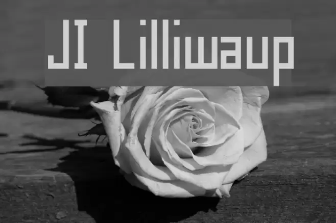 JI Lilliwaup Font examples