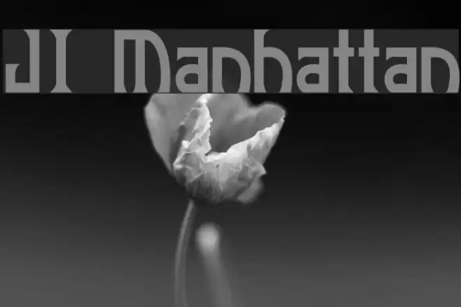JI Manhattan Font examples