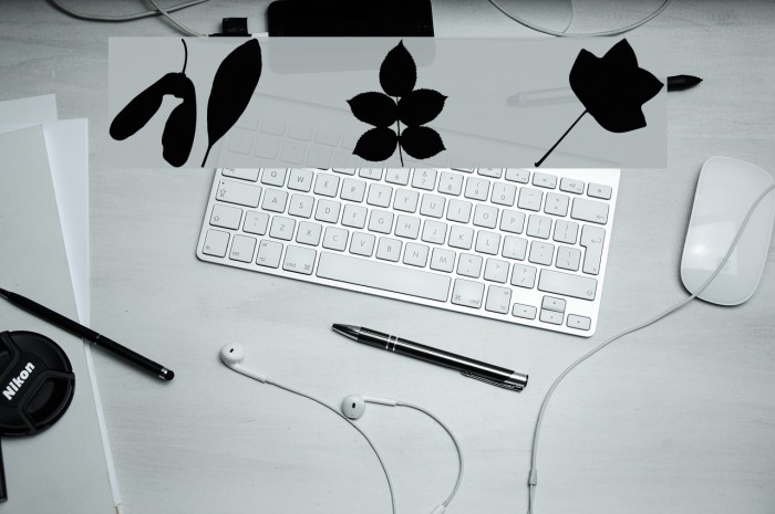 JI Nature Bats Example 1