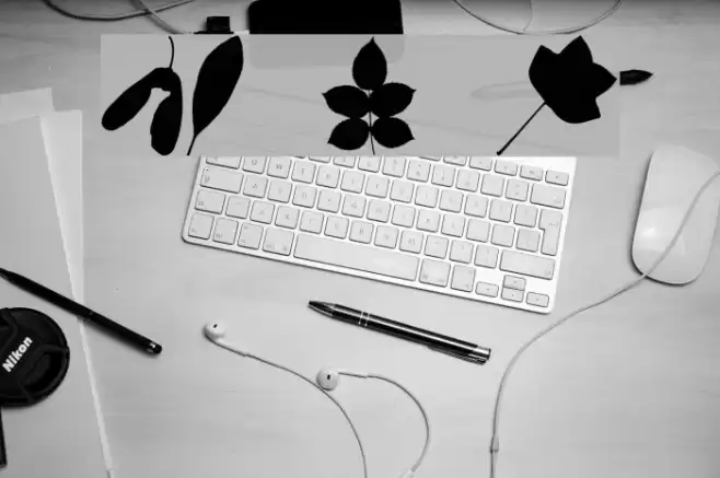 JI Nature Bats Font examples