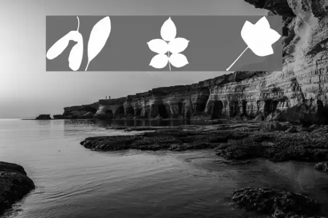 JI Nature Bats Font examples