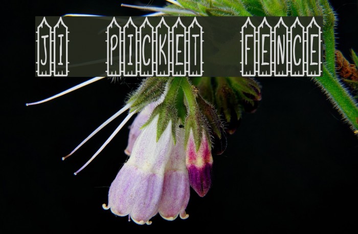 JI Picket Fence Font examples