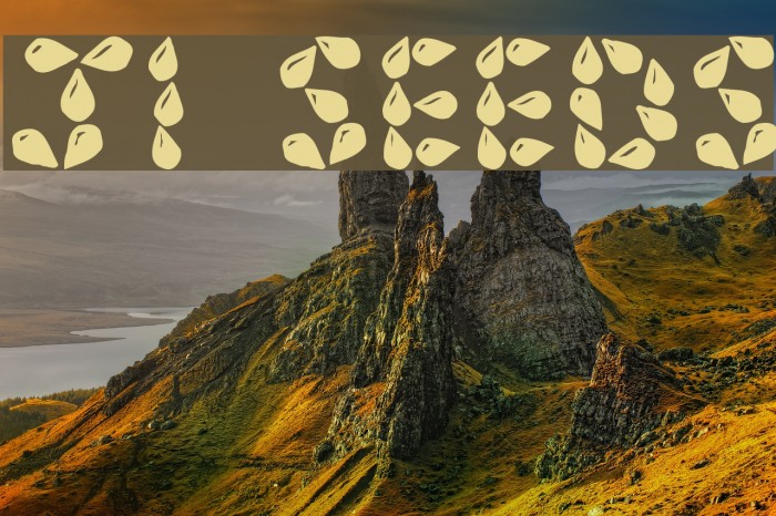 JI Seeds Font examples