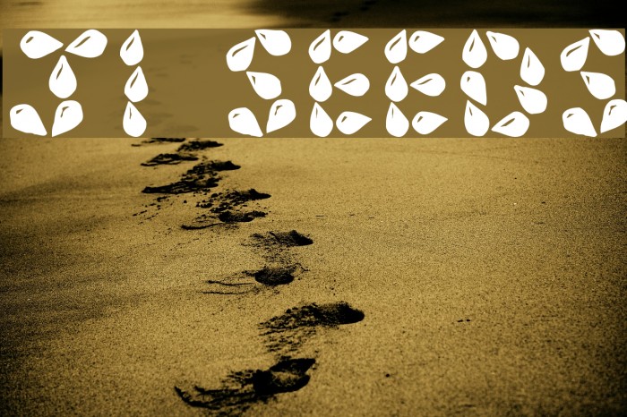 JI Seeds Font examples