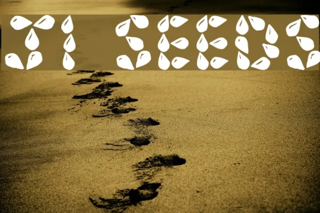 JI Seeds Example 3