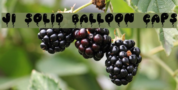 JI Solid Balloon Caps Font examples