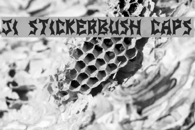 JI Stickerbush Caps Font examples