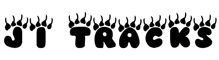 JI Tracks Font