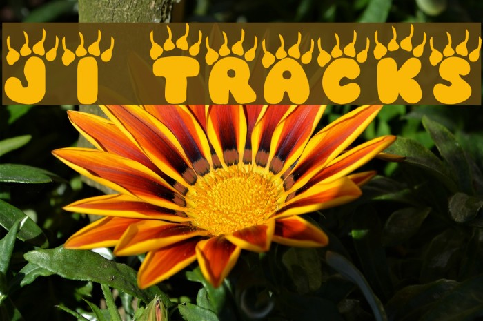 JI Tracks Font examples