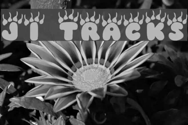 JI Tracks Fonte examples