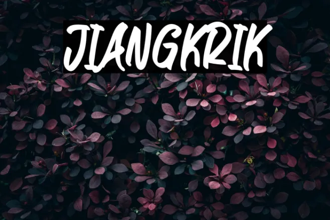 JIANGKRIK Example 2