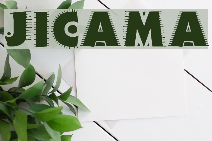JICAMA Font examples
