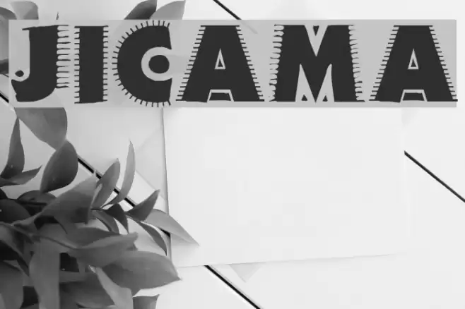 JICAMA Font examples