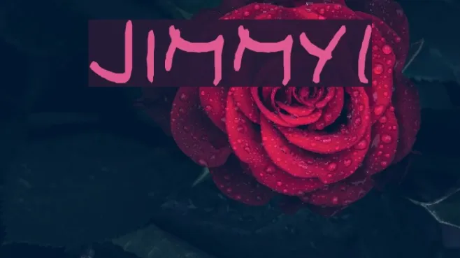 JIMMY1 Example 1