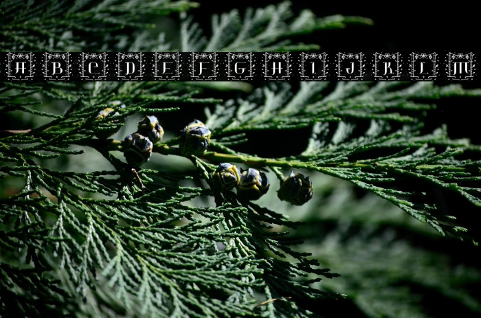 Jianshi Chinese Monogram Example 3